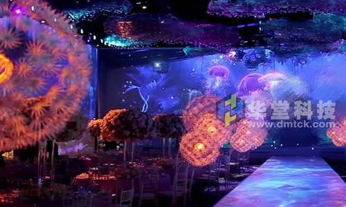 婚礼全息幻影成像,全息婚礼,全息成像【华堂科技】
