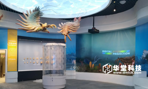 威海海螺博物馆多媒体互动展示-华堂科技